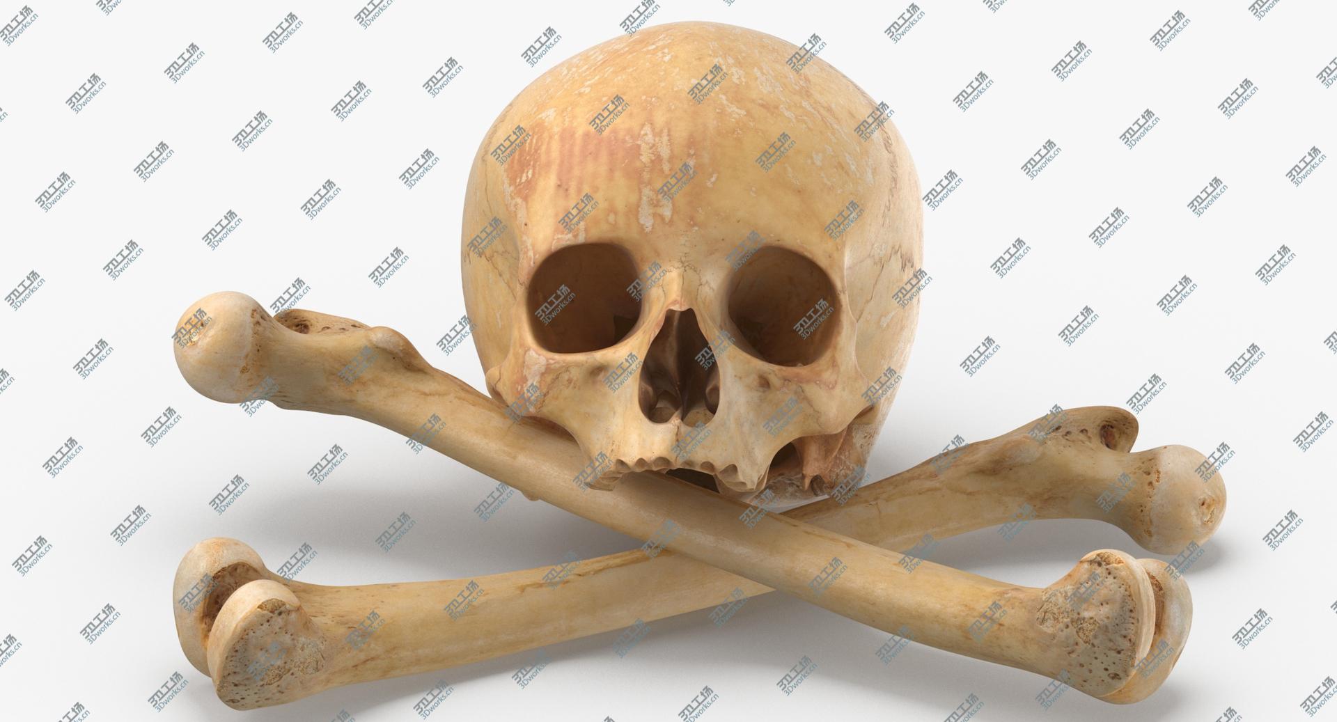 images/goods_img/202104091/3D Pirate Skull and Bones Composition 01 model/4.jpg